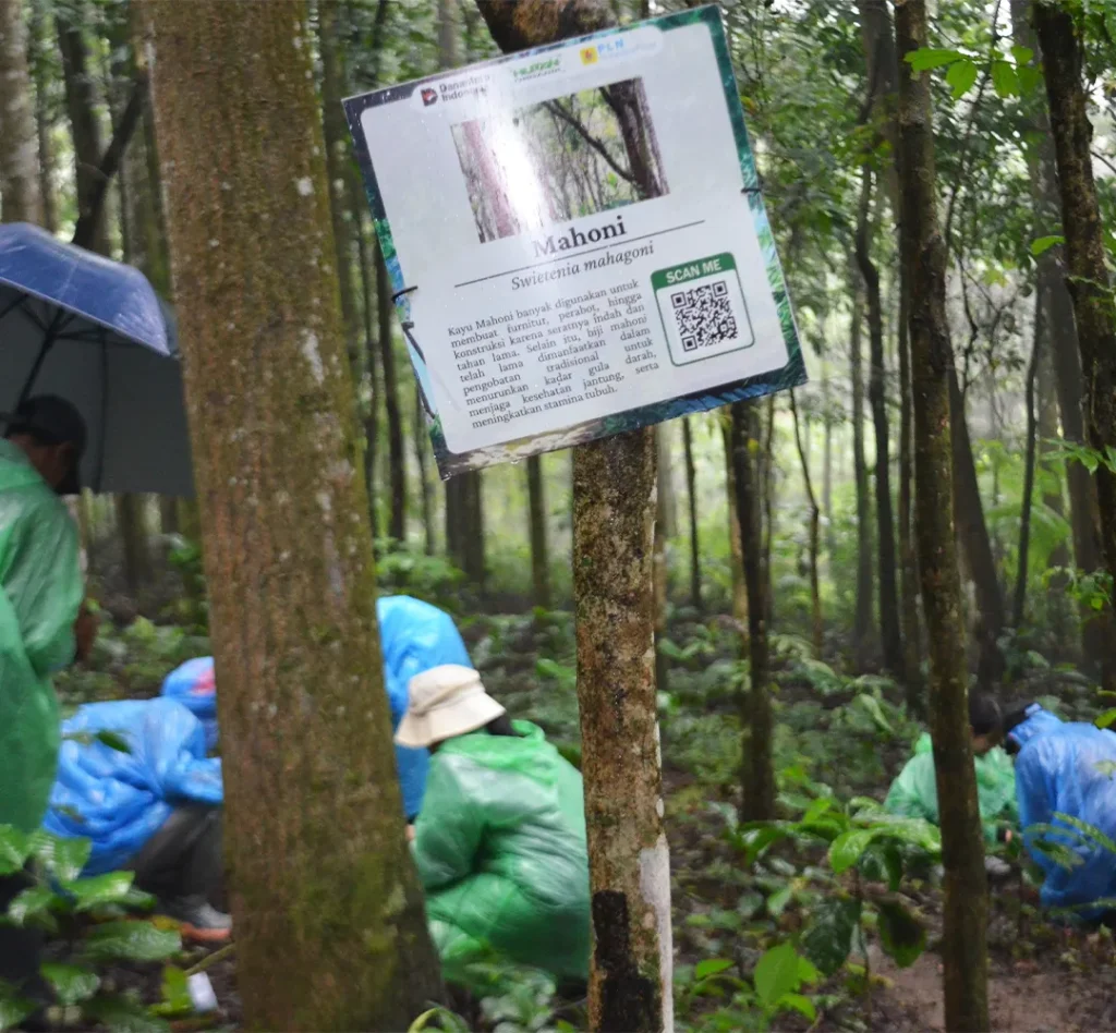 hutan organik3