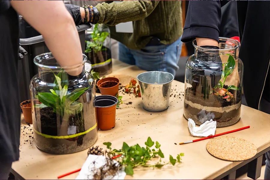 eco workshop ho