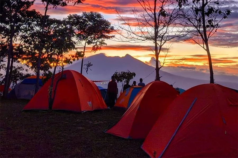 hutan organik2